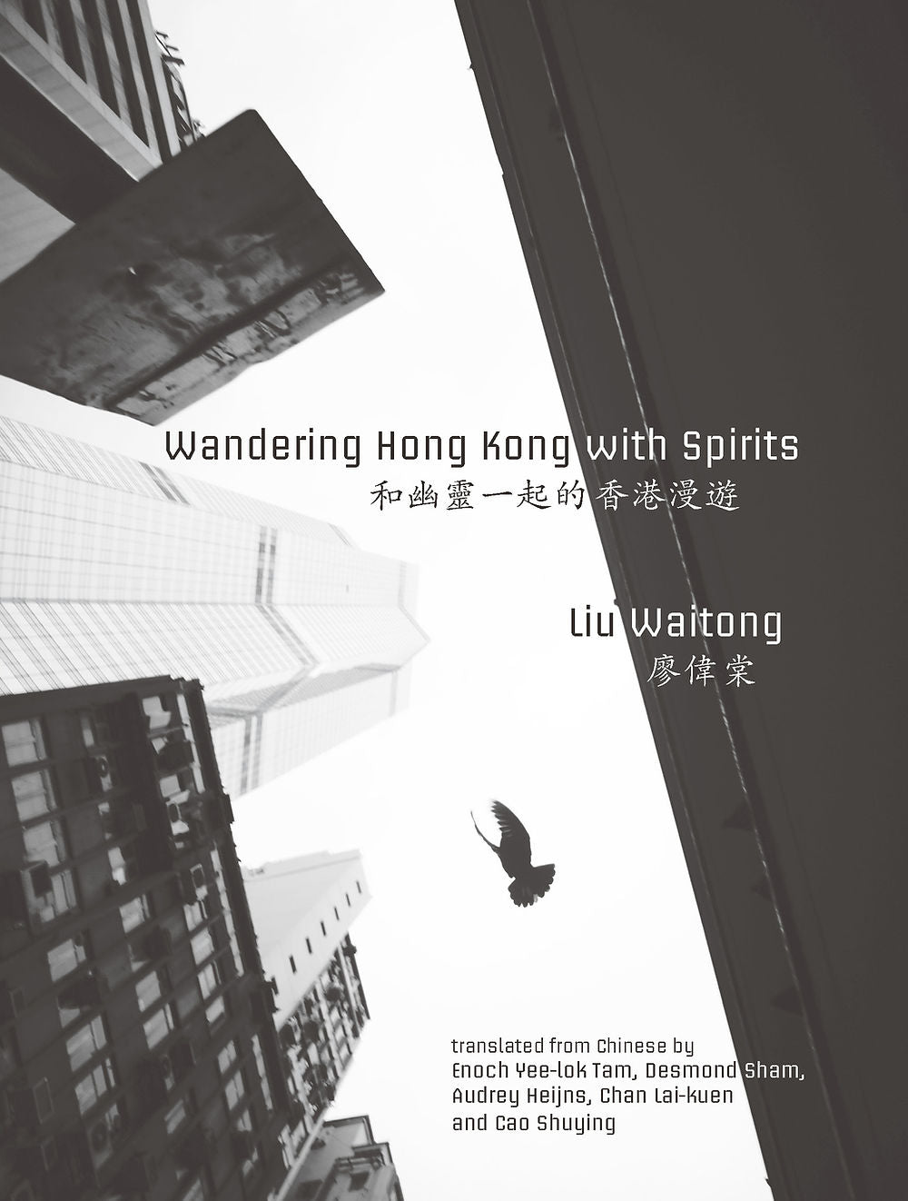 Wandering Hong Kong with Spirits Liu Waitong