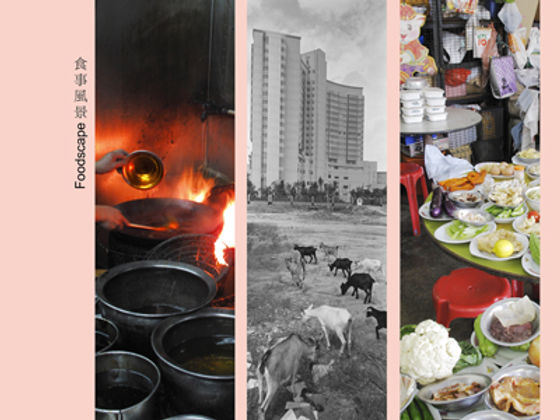 Foodscape - A Swiss-Chinese Intercultural Encounter about the Culture of food by Margit Manz and Martin Zeller