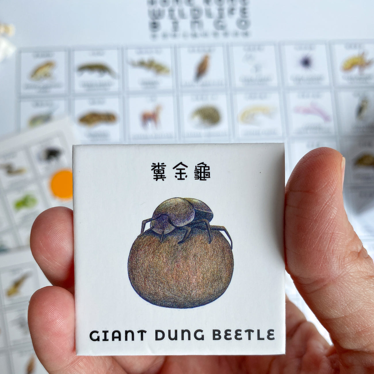 Hong Kong Wildlife Bingo by Lion Rock Press