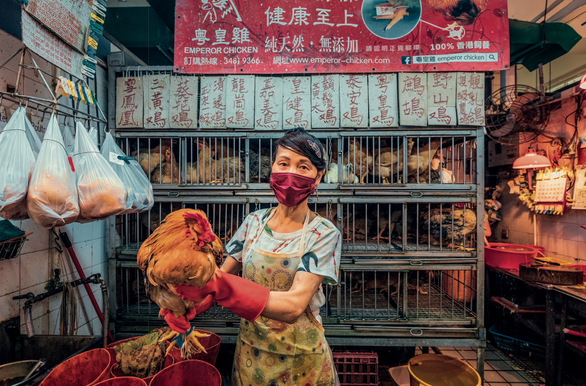 Hong Kong Old Shops 2 by Tsui Piu & Tsui Yuen