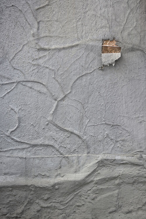 Wild Concrete by Romain Jacquet-Lagrèze