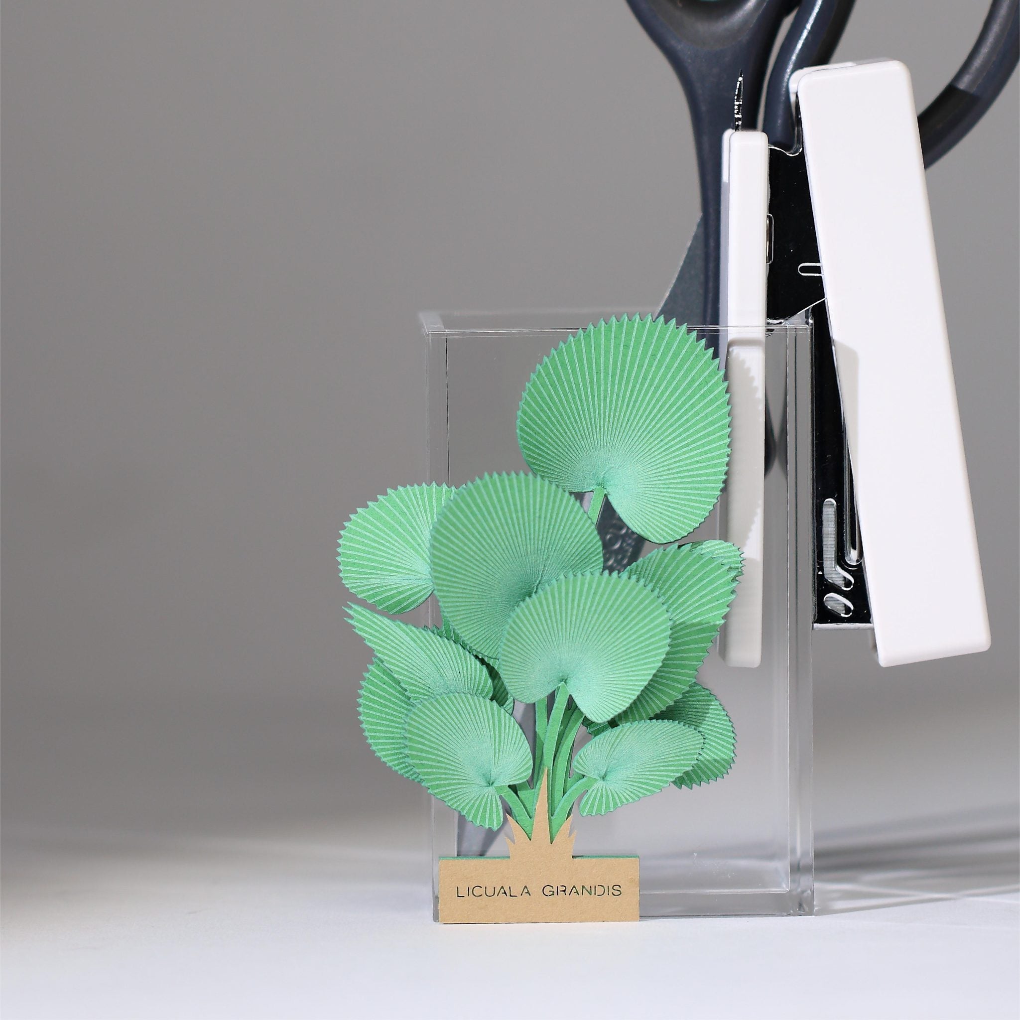 Licuala Grandis 3D Plant Sticker By FingerART