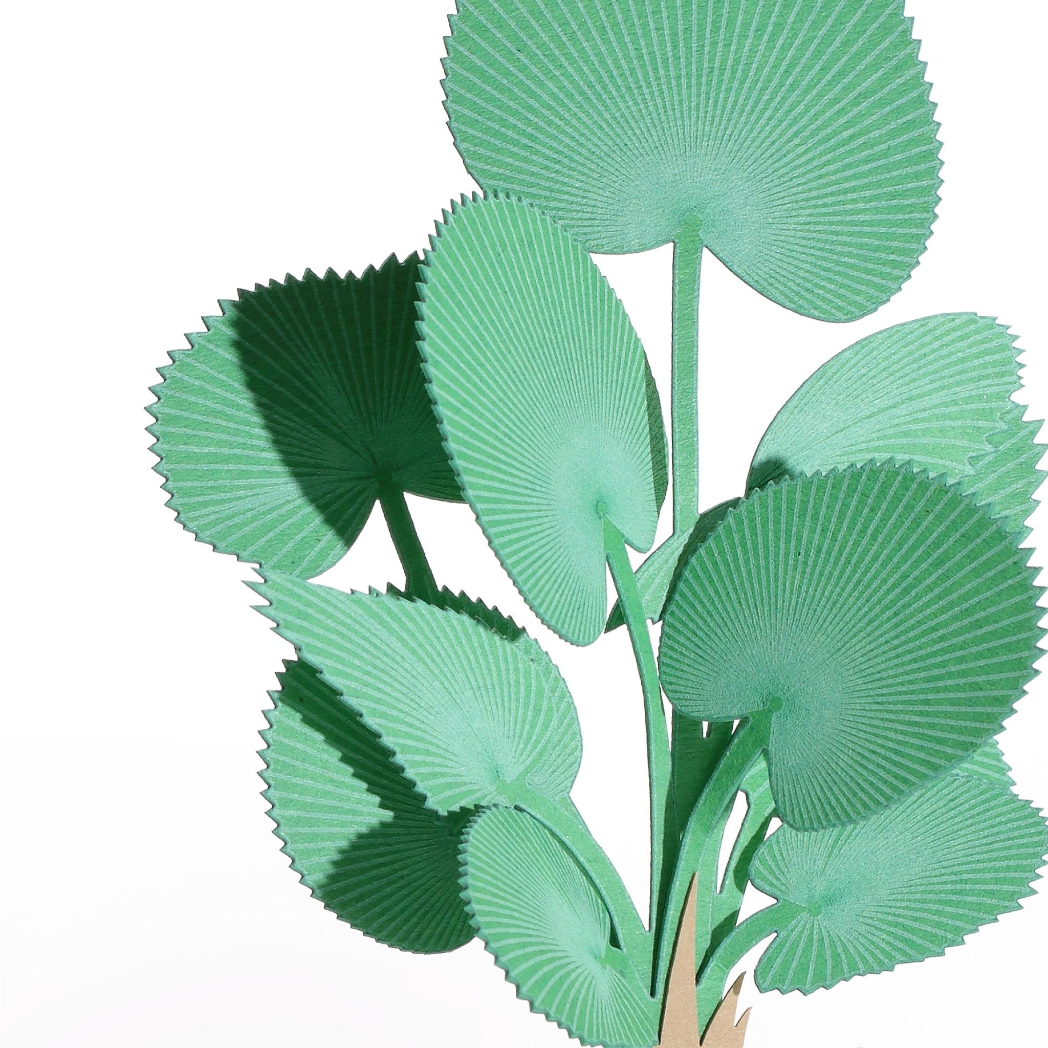 Licuala Grandis 3D Plant Sticker By FingerART