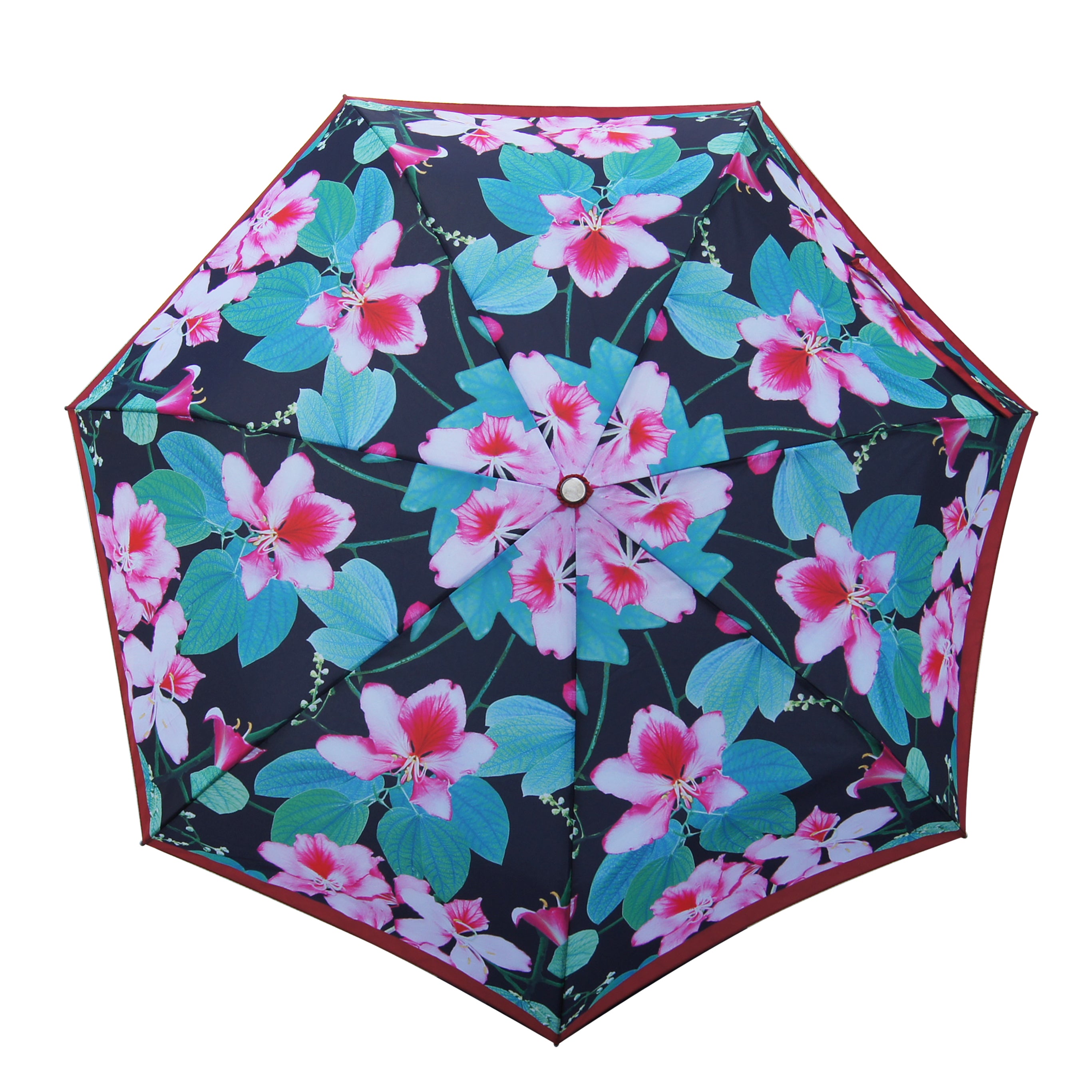 'Bauhinia Black' Teflon auto umbrella, Lifestyle, Goods of Desire, Goods of Desire