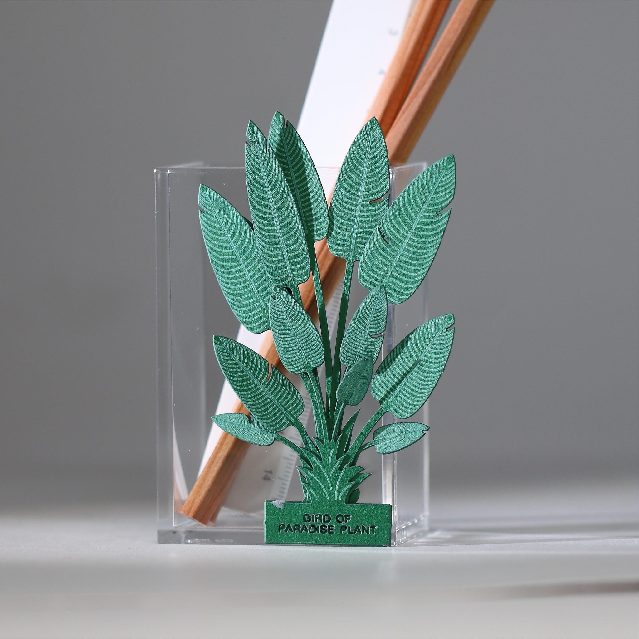 Bird of Paradise 3D Plant Sticker By FingerART