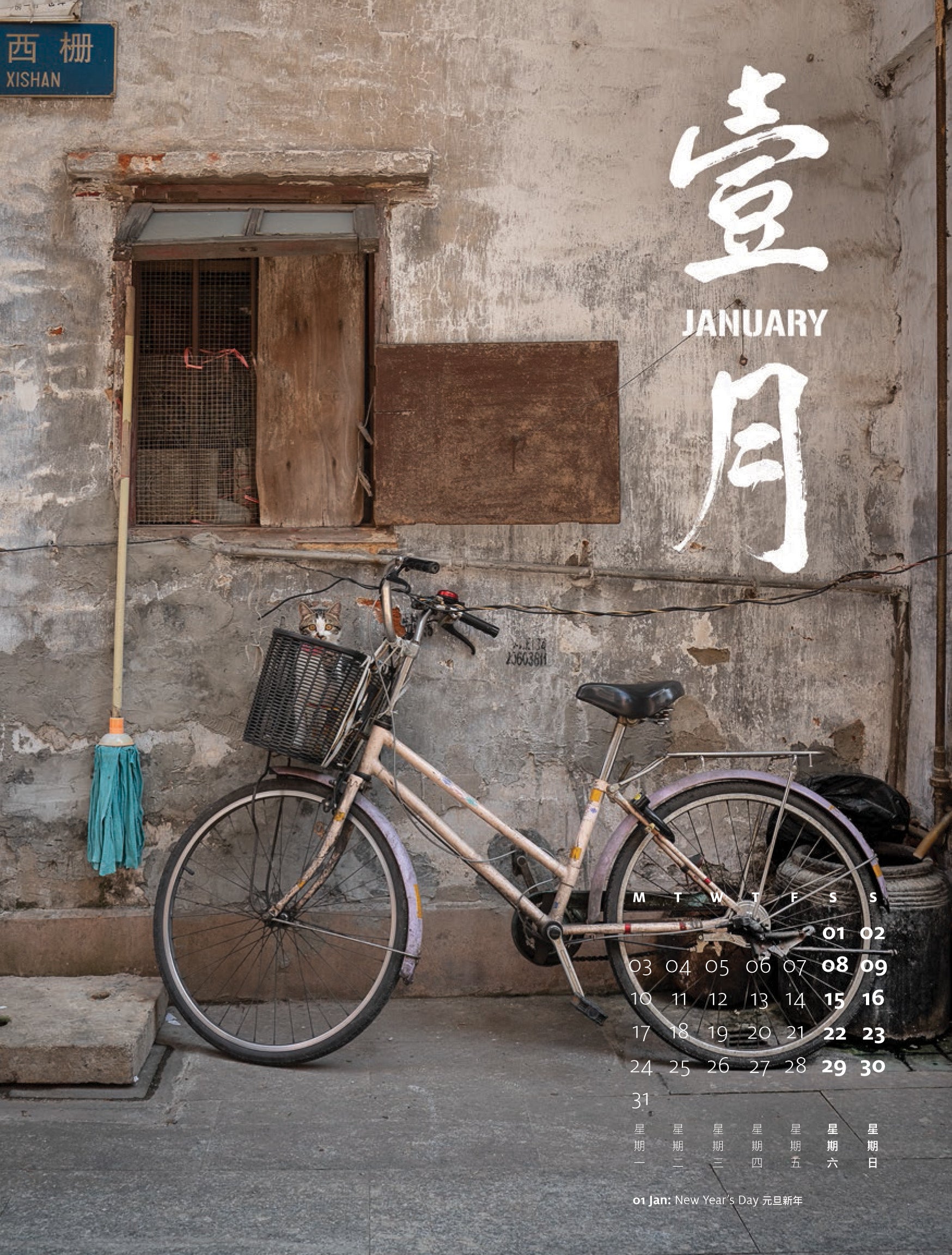 Shop Cats of China 2022 Calendar by Marcel Heijnen