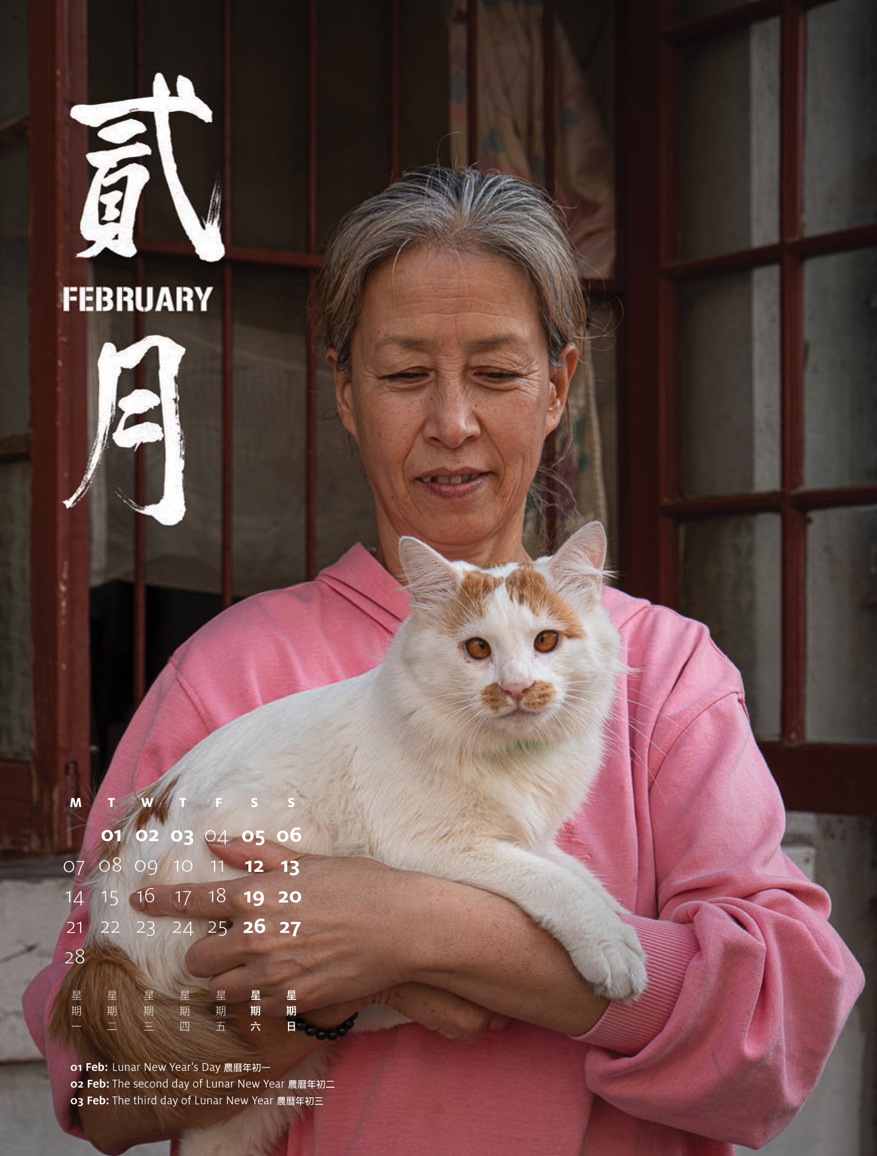Shop Cats of China 2022 Calendar by Marcel Heijnen