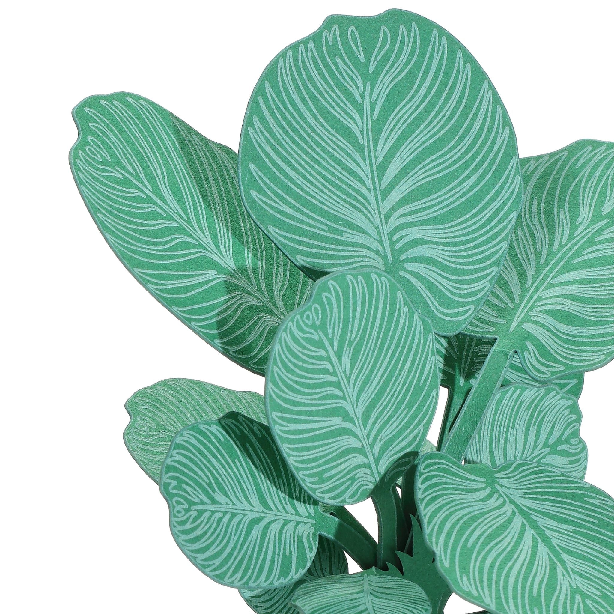 Calathea Orbifolia 3D Plant Sticker By FingerART