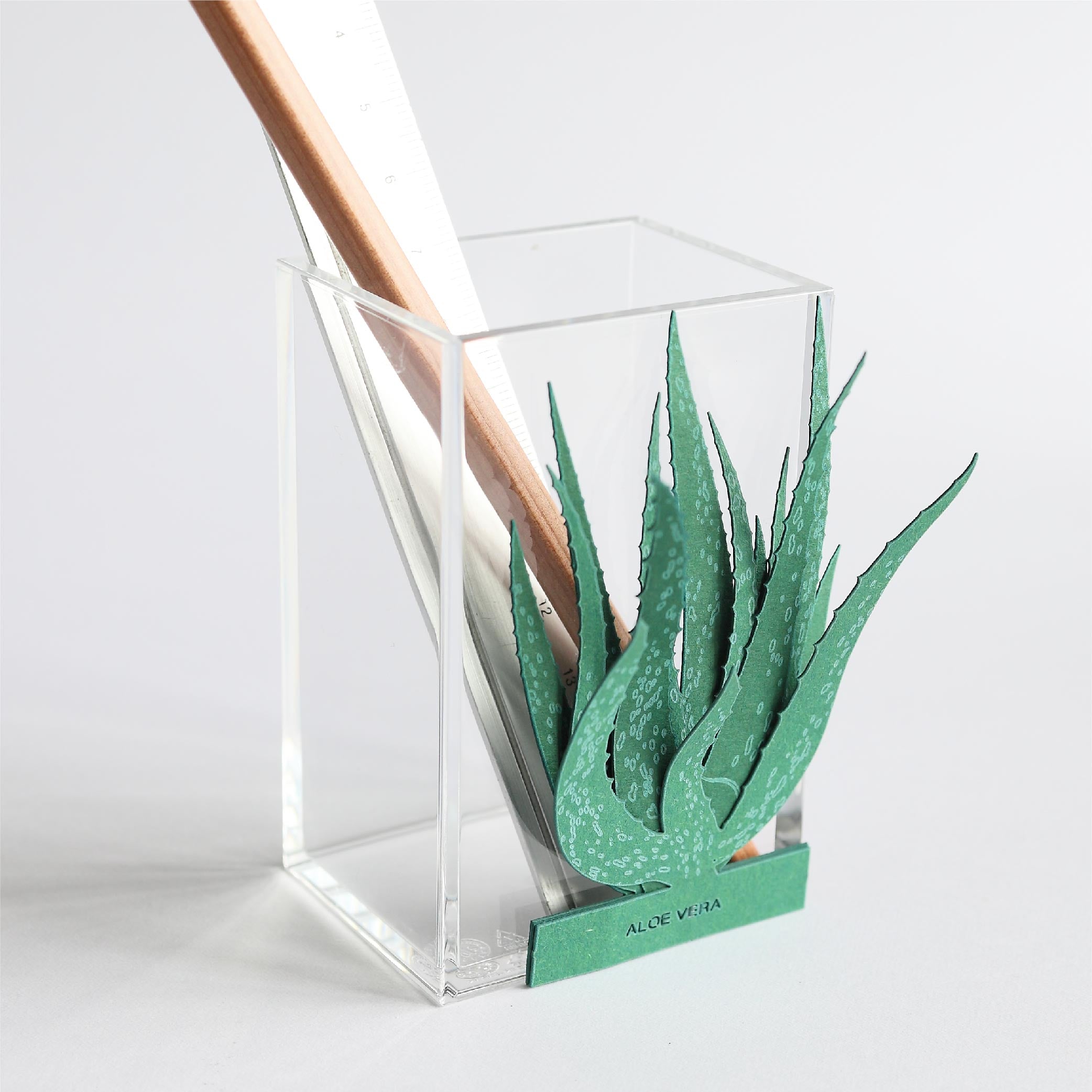 Aloe Vera 3D Plant Sticker By FingerART