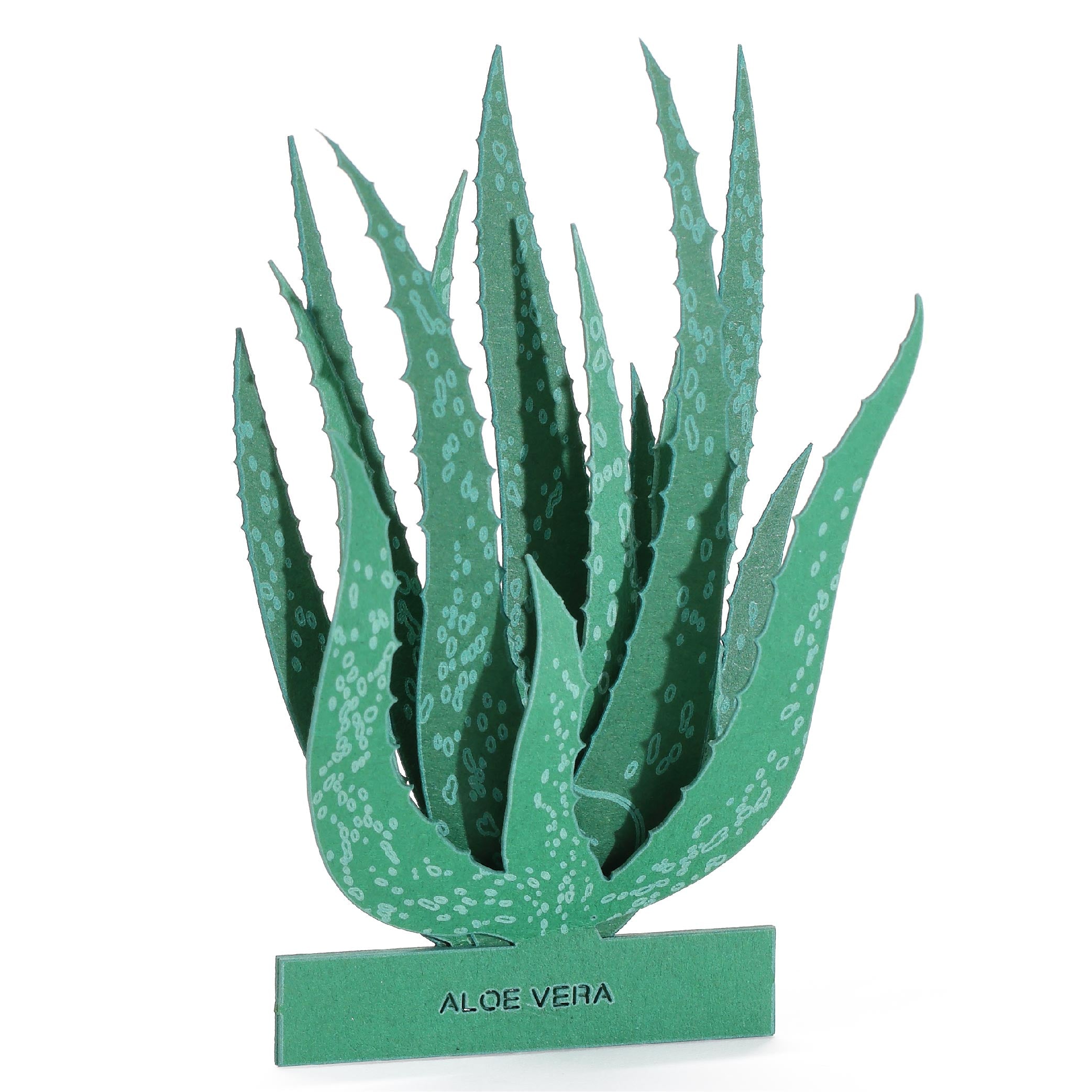 Aloe Vera 3D Plant Sticker By FingerART