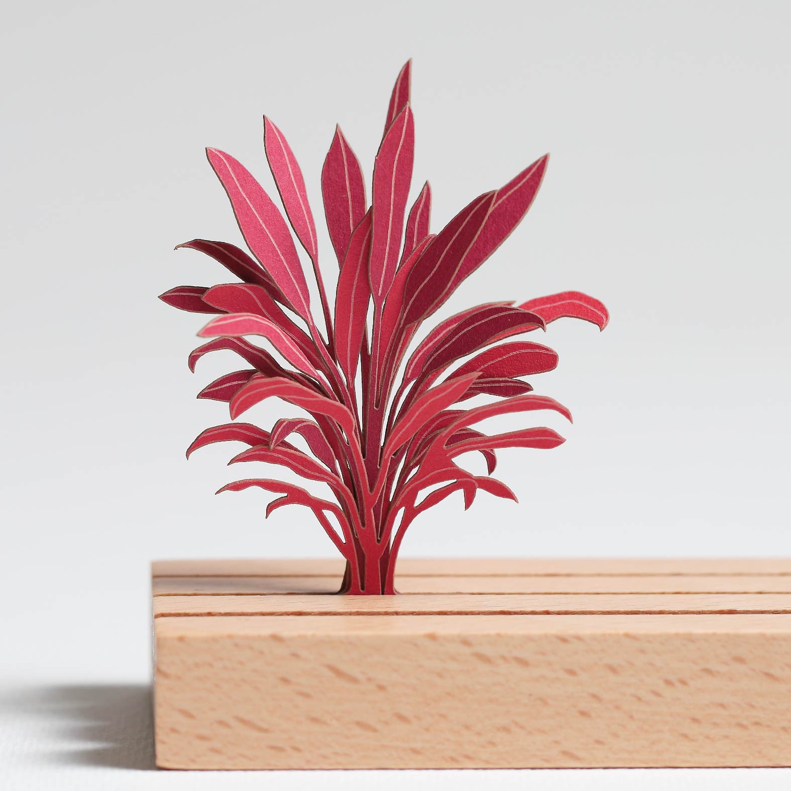 Cordyline Fruticosa Florica 3D Plant Sticker By FingerART