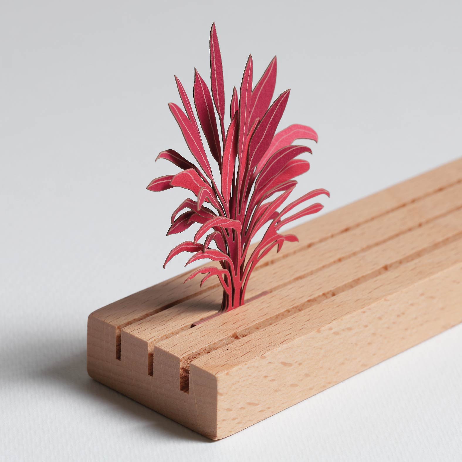 Cordyline Fruticosa Florica 3D Plant Sticker By FingerART
