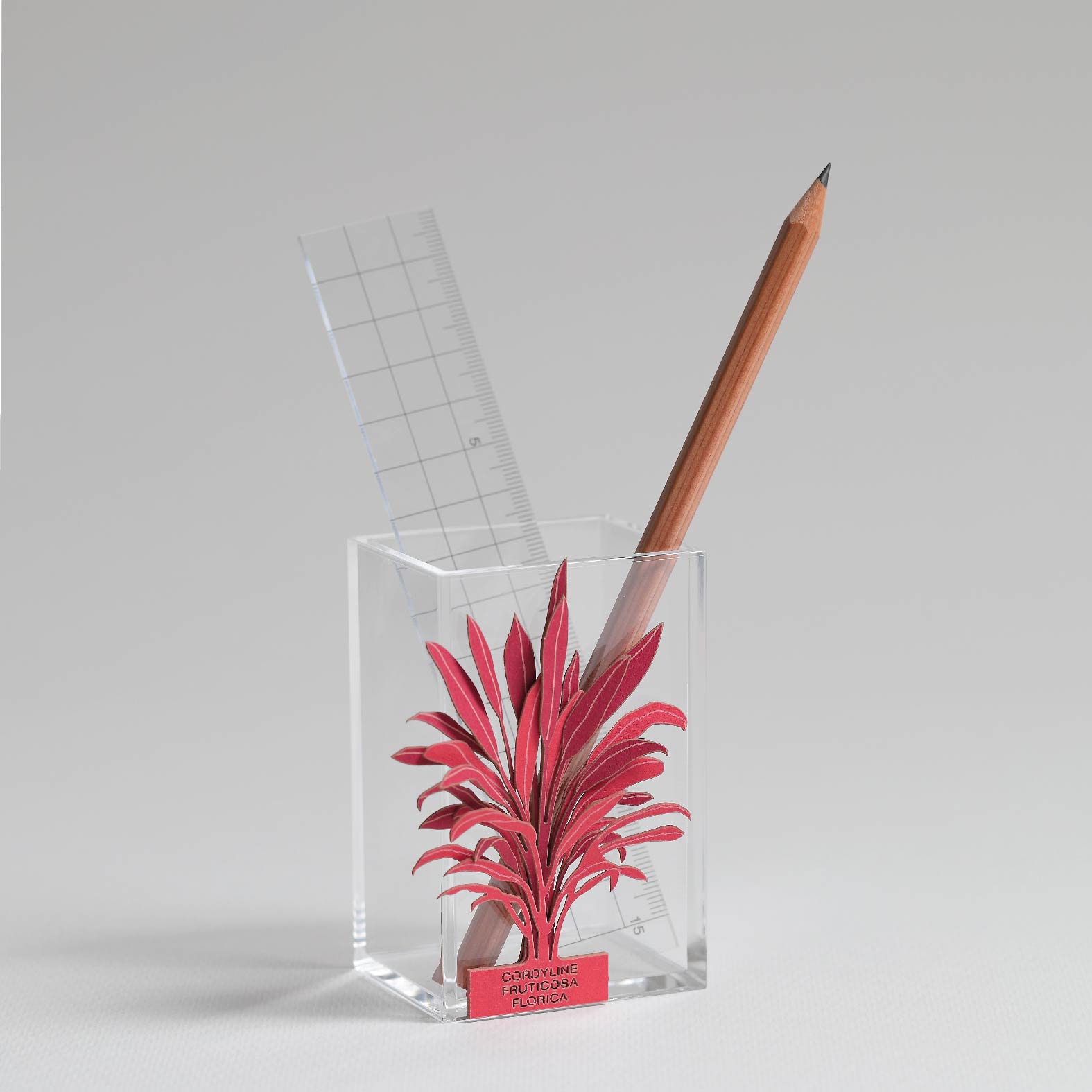 Cordyline Fruticosa Florica 3D Plant Sticker By FingerART
