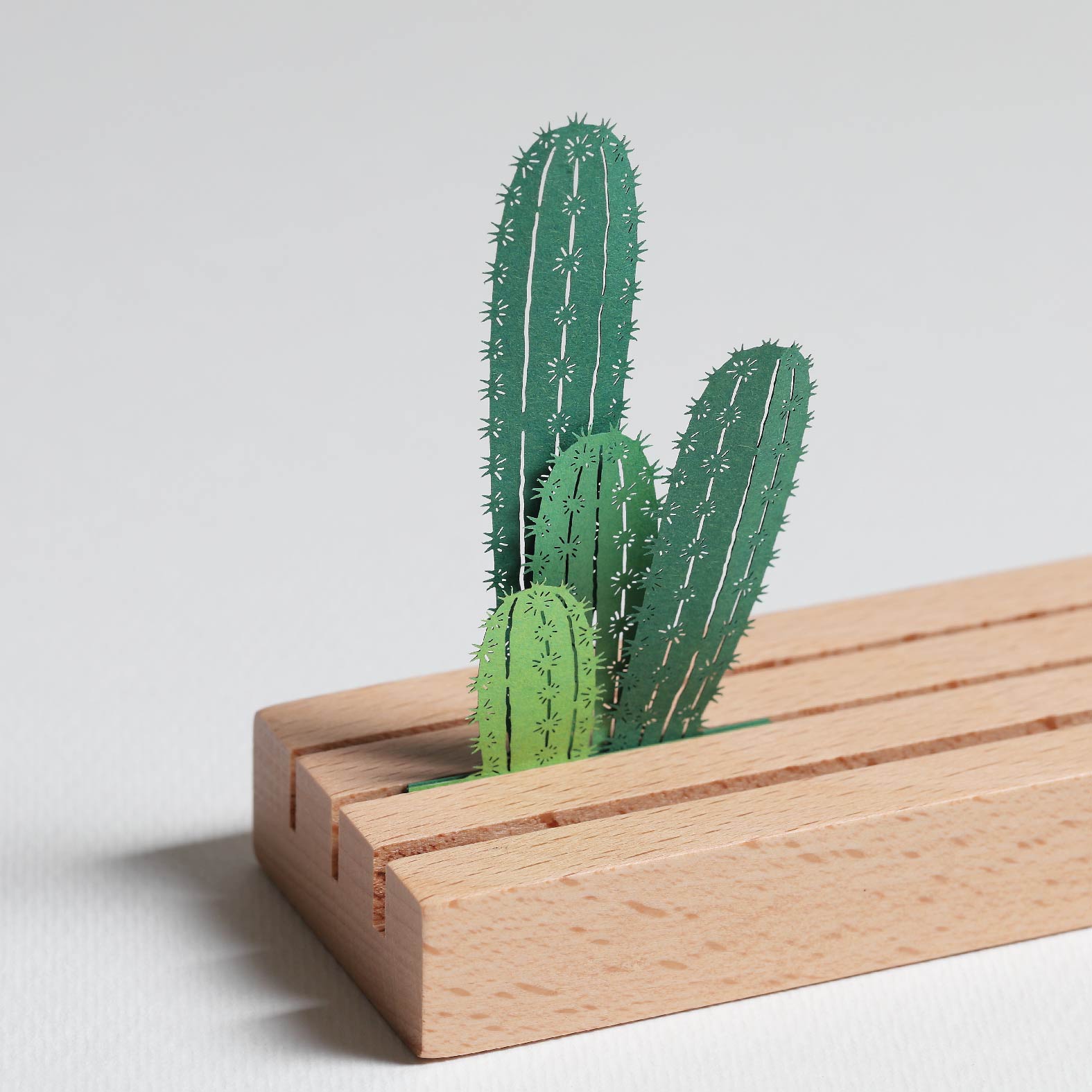 Cactus 3D Plant Sticker By FingerART