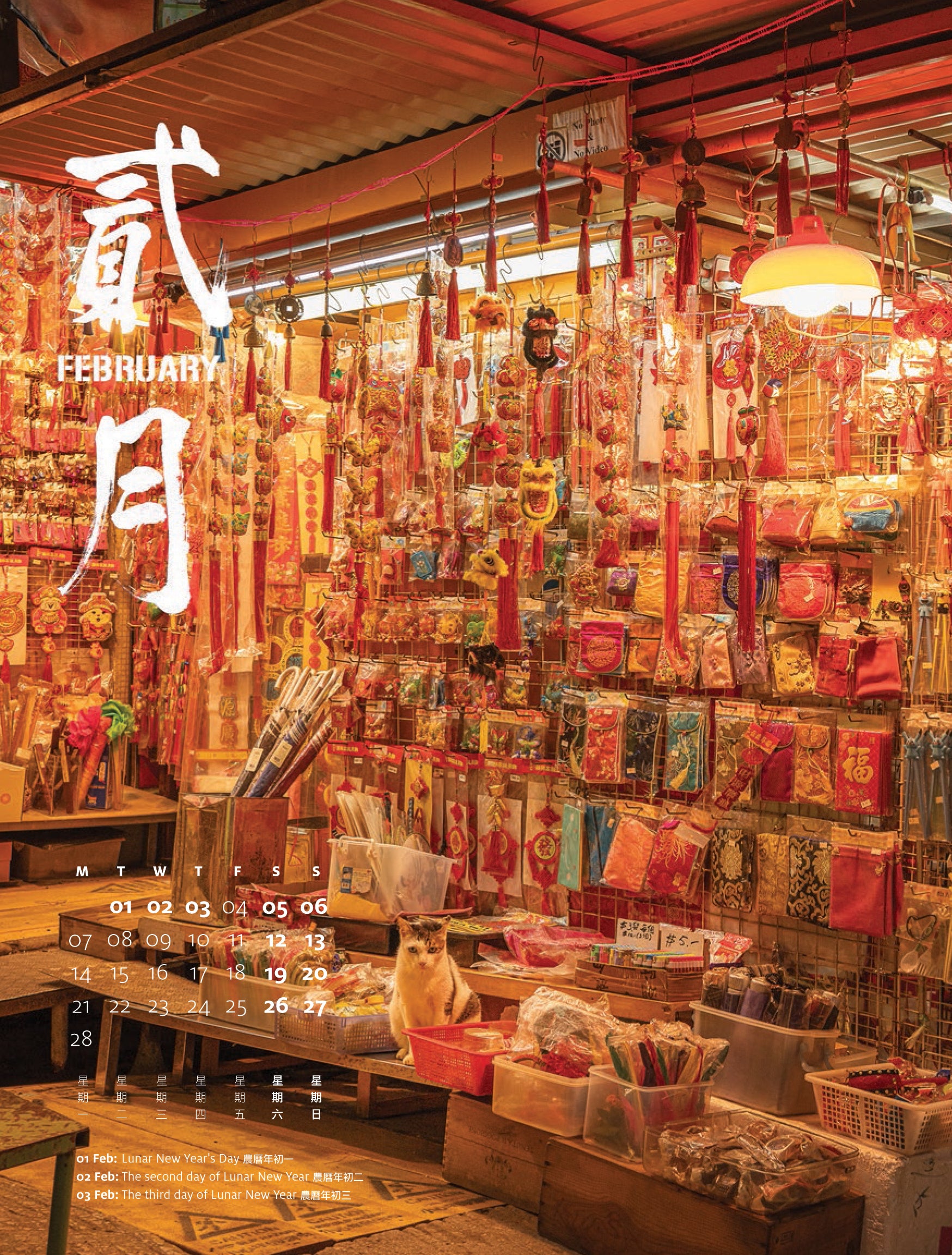 Shop Cats of Hong Kong 2022 Calendar by Marcel Heijnen
