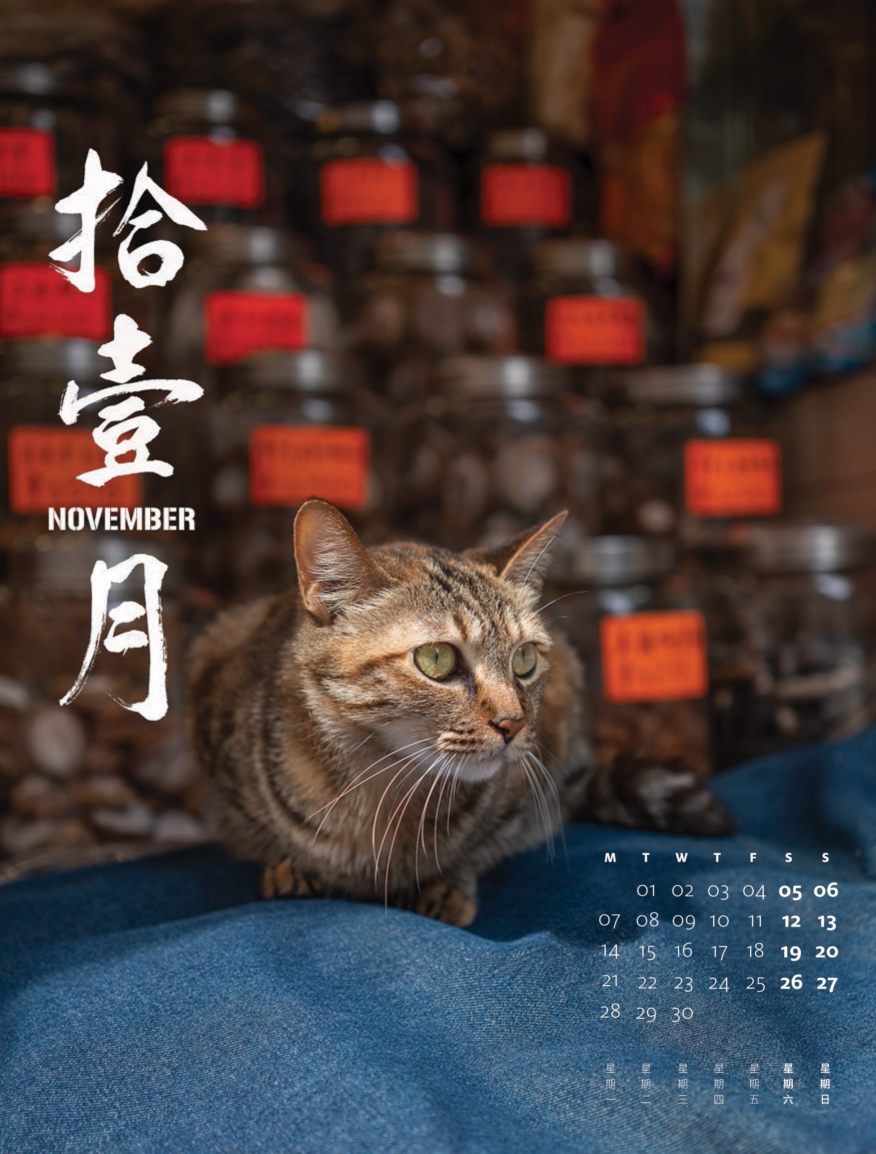 Shop Cats of Hong Kong 2022 Calendar by Marcel Heijnen