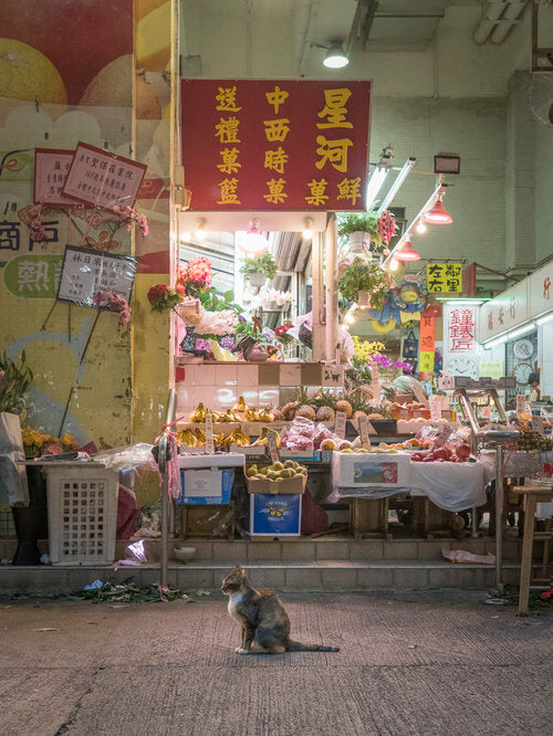 Hong Kong Market Cats by Marcel Heijnen