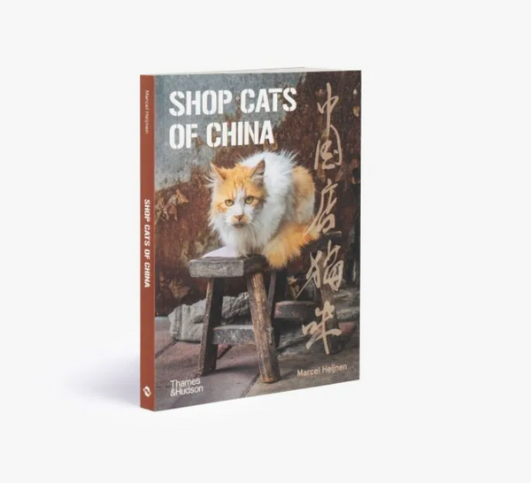 Shop Cats of China By Marcel Heijnen