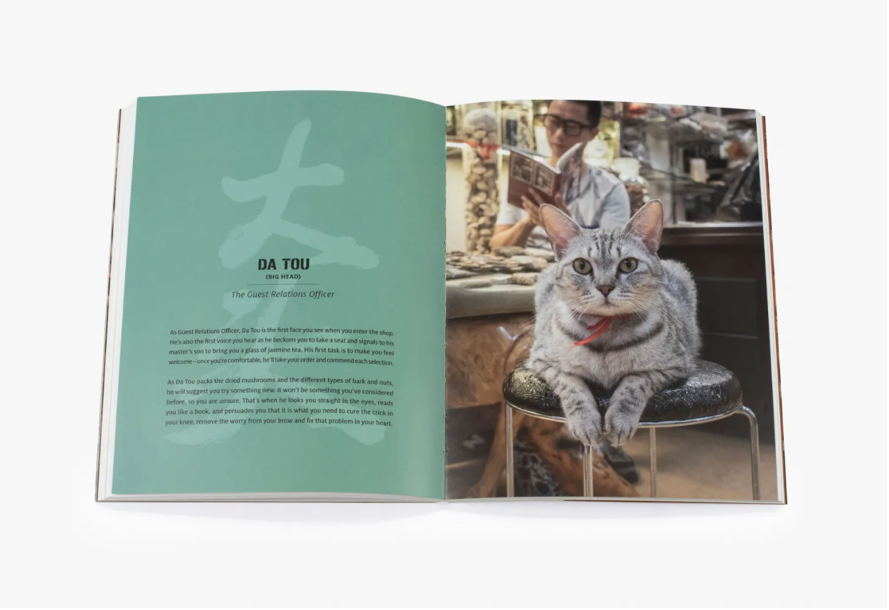 Shop Cats of China By Marcel Heijnen