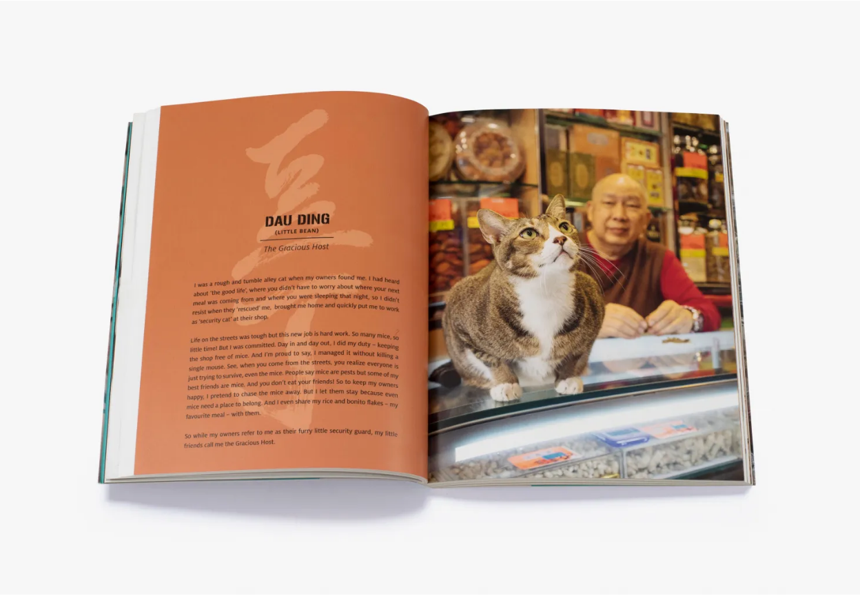Shop Cats of Hong Kong by Marcel Heijnen